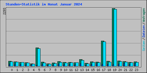 Stunden-Statistik im Monat Januar 2024