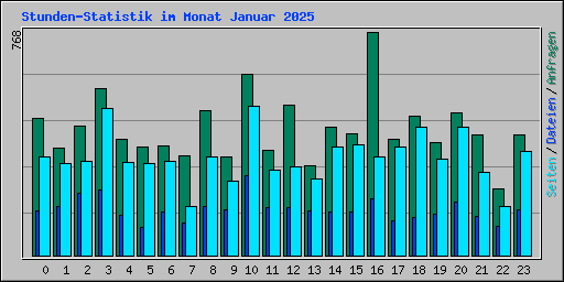 Stunden-Statistik im Monat Januar 2025